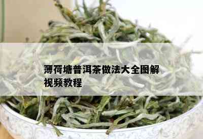 薄荷塘普洱茶做法大全图解视频教程