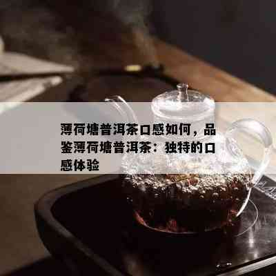 薄荷塘普洱茶口感如何，品鉴薄荷塘普洱茶：独特的口感体验