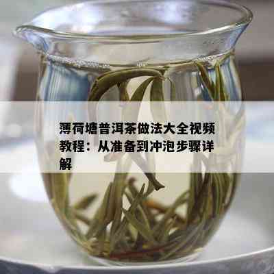 薄荷塘普洱茶做法大全视频教程：从准备到冲泡步骤详解