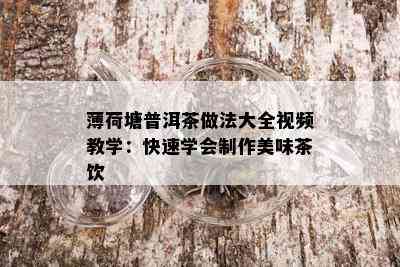 薄荷塘普洱茶做法大全视频教学：快速学会制作美味茶饮