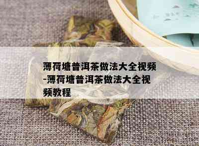 薄荷塘普洱茶做法大全视频-薄荷塘普洱茶做法大全视频教程