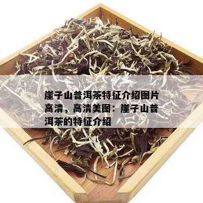 崖子山普洱茶特征介绍图片高清，高清美图：崖子山普洱茶的特征介绍