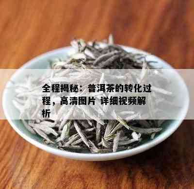 全程揭秘：普洱茶的转化过程，高清图片 详细视频解析