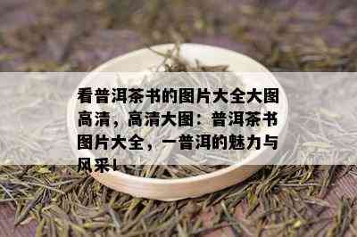 看普洱茶书的图片大全大图高清，高清大图：普洱茶书图片大全，一普洱的魅力与风采！