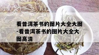 看普洱茶书的图片大全大图-看普洱茶书的图片大全大图高清