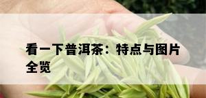 看一下普洱茶：特点与图片全览