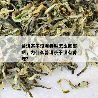 普洱茶干没有香味怎么回事啊，为什么普洱茶干没有香味？