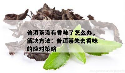 普洱茶没有香味了怎么办，解决方法：普洱茶失去香味的应对策略