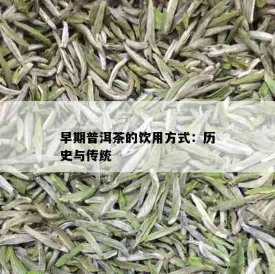 早期普洱茶的饮用方式：历史与传统