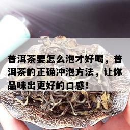 普洱茶要怎么泡才好喝，普洱茶的正确冲泡方法，让你品味出更好的口感！