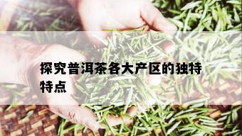 探究普洱茶各大产区的独特特点