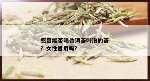 感冒能否喝普洱茶叶泡的茶？女性适用吗？