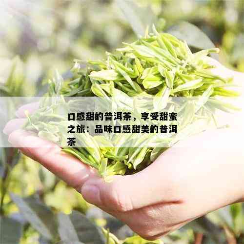 口感甜的普洱茶，享受甜蜜之旅：品味口感甜美的普洱茶