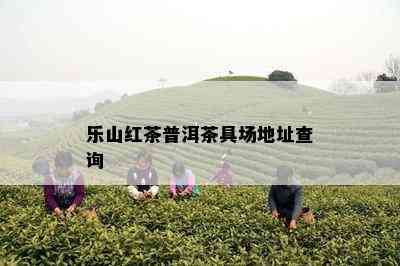 乐山红茶普洱茶具场地址查询