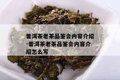 普洱茶老茶品鉴会内容介绍-普洱茶老茶品鉴会内容介绍怎么写