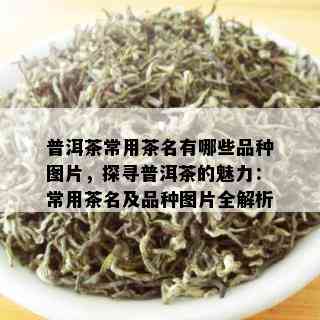 普洱茶常用茶名有哪些品种图片，探寻普洱茶的魅力：常用茶名及品种图片全解析