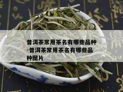 普洱茶常用茶名有哪些品种-普洱茶常用茶名有哪些品种图片