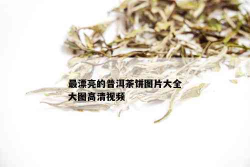 最漂亮的普洱茶饼图片大全大图高清视频