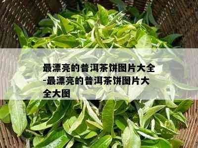 最漂亮的普洱茶饼图片大全-最漂亮的普洱茶饼图片大全大图