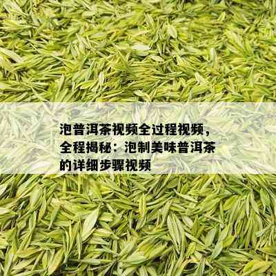 泡普洱茶视频全过程视频，全程揭秘：泡制美味普洱茶的详细步骤视频