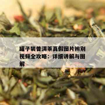 罐子装普洱茶真假图片辨别视频全攻略：详细讲解与图解