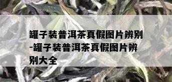 罐子装普洱茶真假图片辨别-罐子装普洱茶真假图片辨别大全