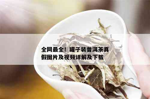 全网最全！罐子装普洱茶真假图片及视频详解及下载