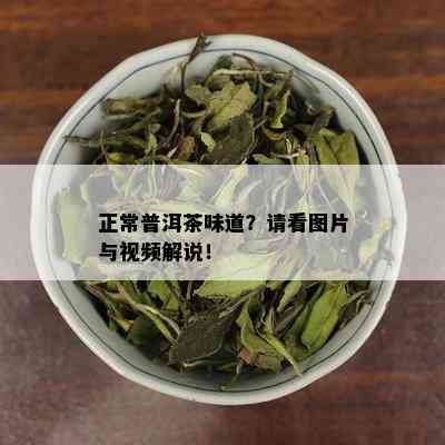 正常普洱茶味道？请看图片与视频解说！