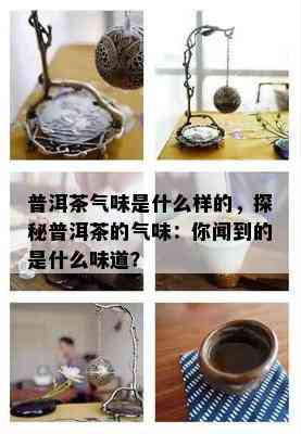 普洱茶气味是什么样的，探秘普洱茶的气味：你闻到的是什么味道？