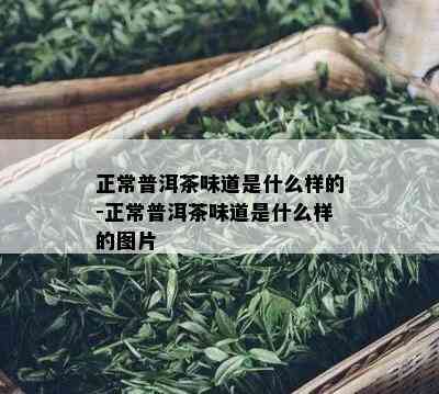 正常普洱茶味道是什么样的-正常普洱茶味道是什么样的图片