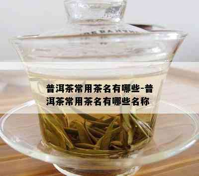 普洱茶常用茶名有哪些-普洱茶常用茶名有哪些名称