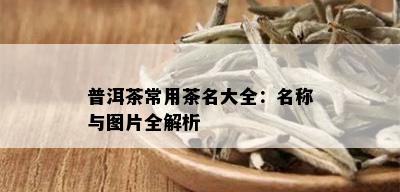 普洱茶常用茶名大全：名称与图片全解析