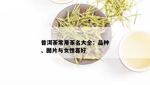 普洱茶常用茶名大全：品种、图片与女性喜好