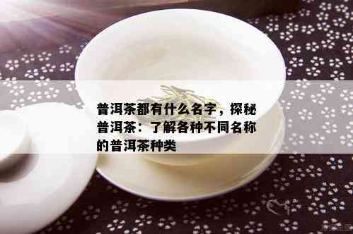 普洱茶都有什么名字，探秘普洱茶：了解各种不同名称的普洱茶种类