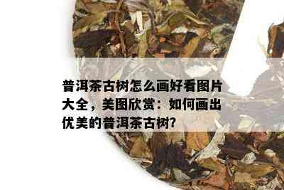 普洱茶古树怎么画好看图片大全，美图欣赏：如何画出优美的普洱茶古树？