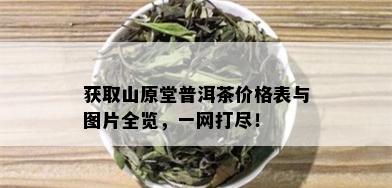 获取山原堂普洱茶价格表与图片全览，一网打尽！