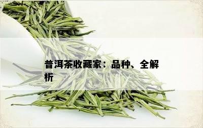 普洱茶收藏家：品种、全解析