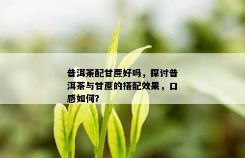 普洱茶配甘蔗好吗，探讨普洱茶与甘蔗的搭配效果，口感如何？