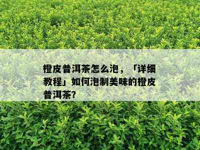 橙皮普洱茶怎么泡，「详细教程」如何泡制美味的橙皮普洱茶？