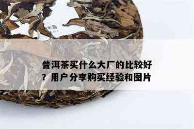 普洱茶买什么大厂的比较好？用户分享购买经验和图片