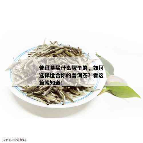 普洱茶买什么牌子的，如何选择适合你的普洱茶？看这篇就知道！