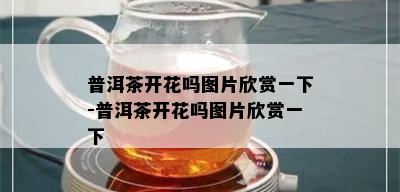 普洱茶开花吗图片欣赏一下-普洱茶开花吗图片欣赏一下