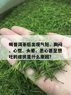 喝普洱茶后出现气短、胸闷、心慌、头晕、恶心甚至想吐的症状是什么原因？