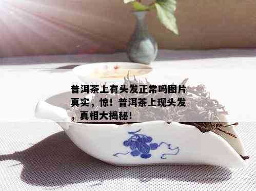 普洱茶上有头发正常吗图片真实，惊！普洱茶上现头发，真相大揭秘！