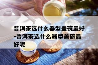 普洱茶选什么器型盖碗更好-普洱茶选什么器型盖碗更好呢