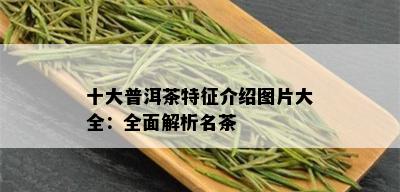 十大普洱茶特征介绍图片大全：全面解析名茶