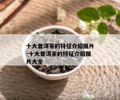 十大普洱茶的特征介绍图片-十大普洱茶的特征介绍图片大全