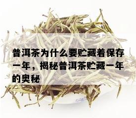 普洱茶为什么要贮藏着保存一年，揭秘普洱茶贮藏一年的奥秘