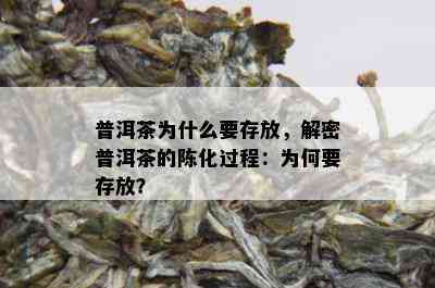 普洱茶为什么要存放，解密普洱茶的陈化过程：为何要存放？