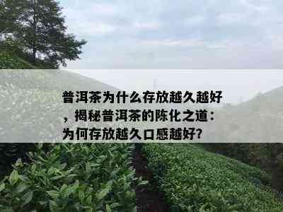 普洱茶为什么存放越久越好，揭秘普洱茶的陈化之道：为何存放越久口感越好？